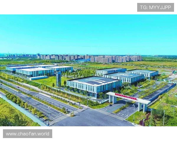 久宏国际：引领全球发展的卓越企业新篇章
